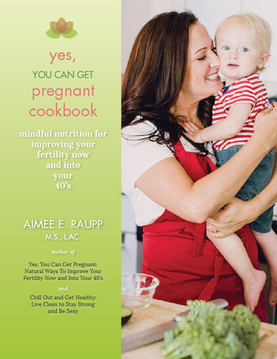 yes-you-can-get-pregnant-cookbook