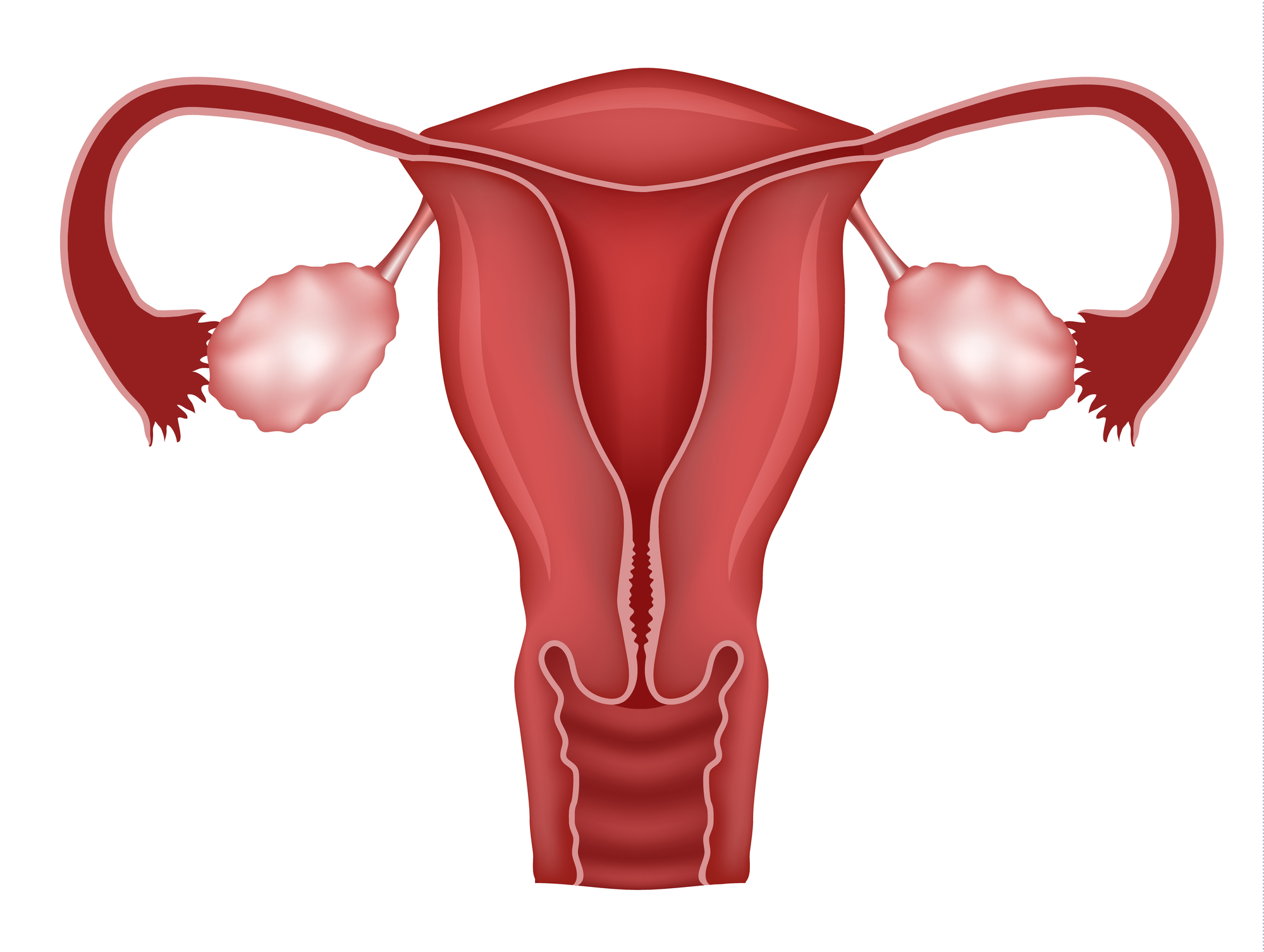 Improving Ovarian and Uterine Blood Flow