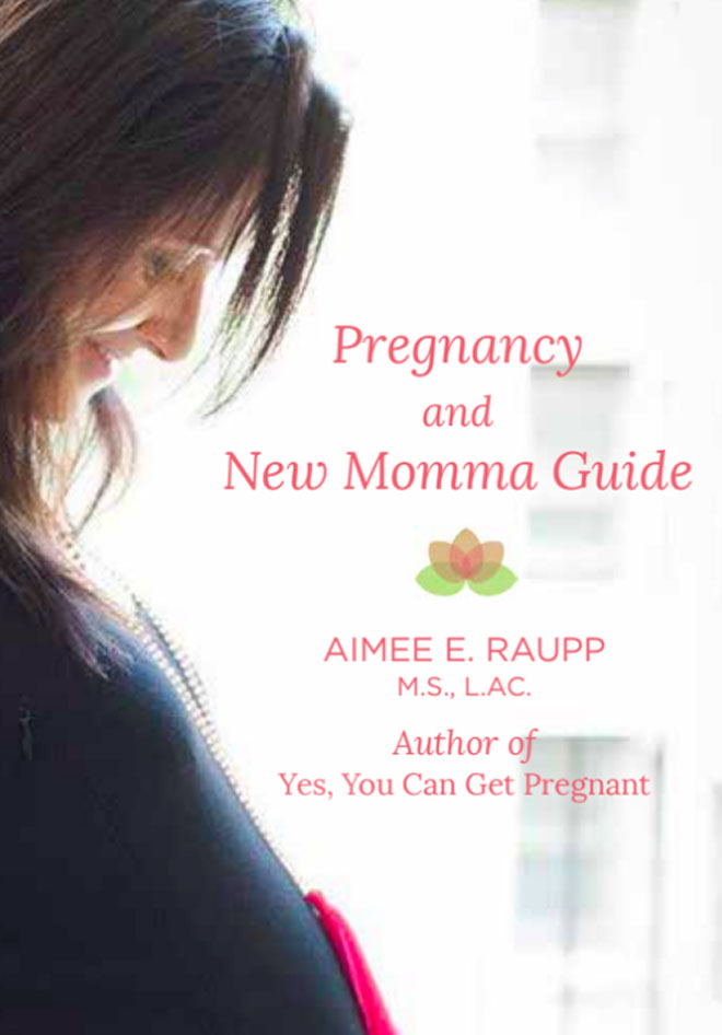The Pregnancy and New Momma Guide