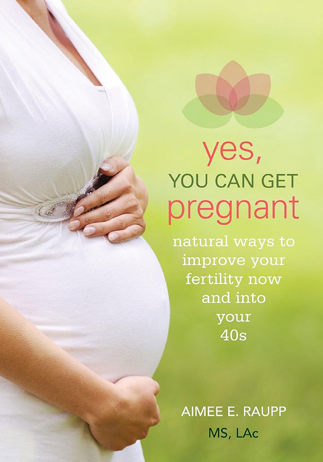 Yes, You Can Get Pregnant book