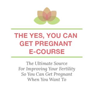 The Yes, You Can Get Pregnant E-Course